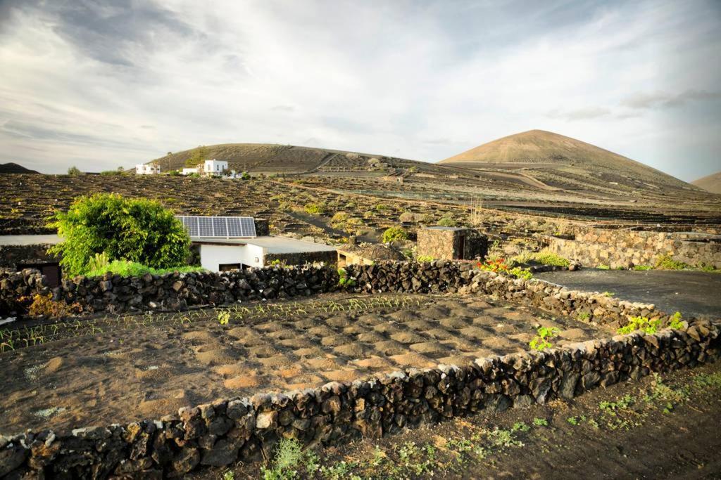 Los Frailes eco finca Tinajo Exterior foto